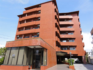 photo01